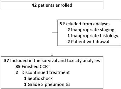 A Prospective Phase II Study of Simultaneous Modulated Accelerated Radiotherapy Concurrently With CDDP/S1 for Esophageal Squamous Cell Carcinoma in the Elderly